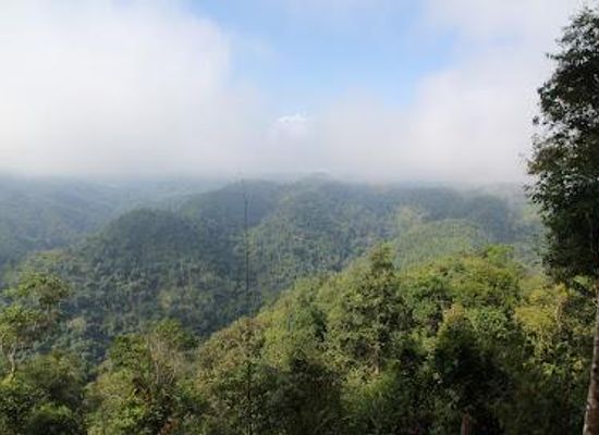 laos/muang-sing/attraction/nam-ha-national-bio-diversity-conservation-area