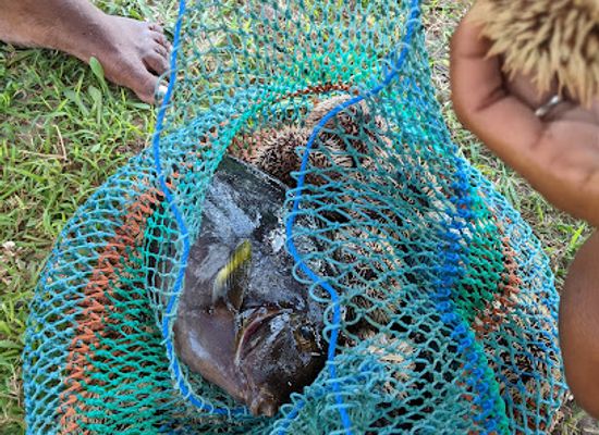 madagascar/mandrare-river/attraction/cabane-ndraha