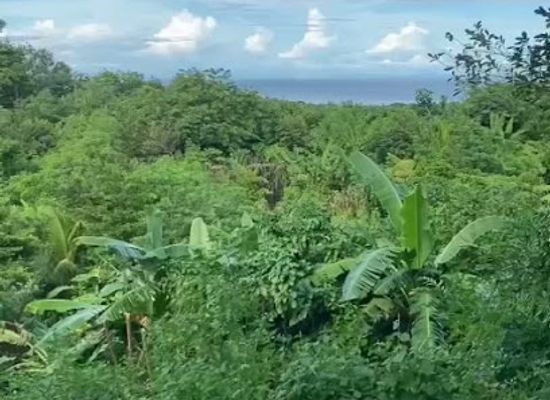 nicaragua/ometepe-island/attraction/san-ramon-ometepe