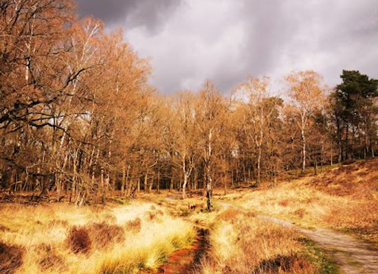 netherlands/gelderland/attraction/lage-veluwe