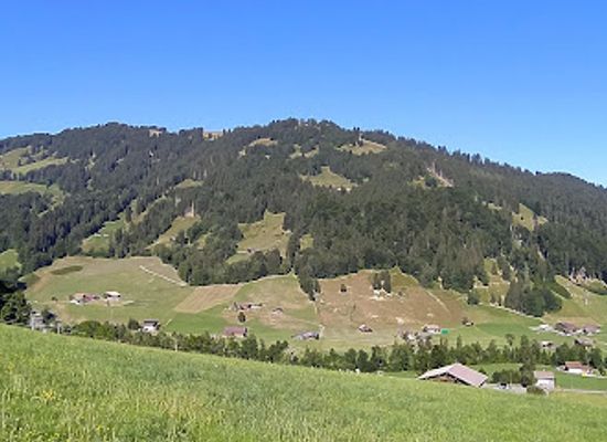 switzerland/gstaad/attraction/bergbahnen-destination-gstaad-ag-wispile
