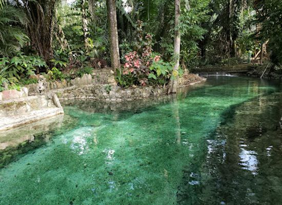belize/vaca-plateau/attraction/ayala-s-natural-pool-and-adventures