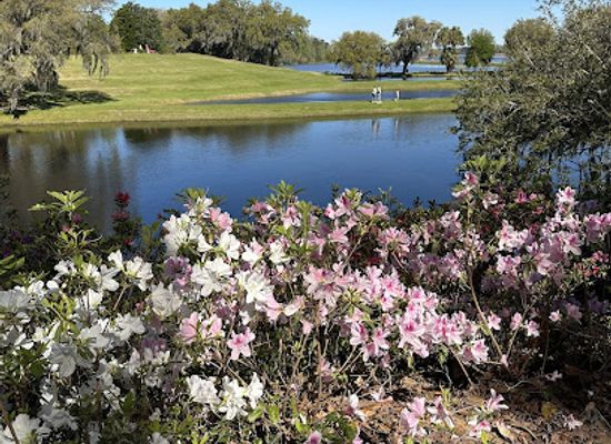south-carolina/lowcountry/attraction/pineapple-tour-group