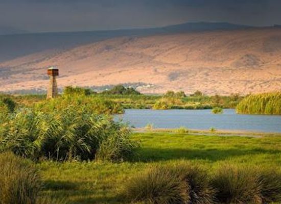 israel/nahariya/attraction/hula-nature-reserve