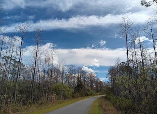 florida/daytona-beach/attraction/florida-coast-to-coast-trail