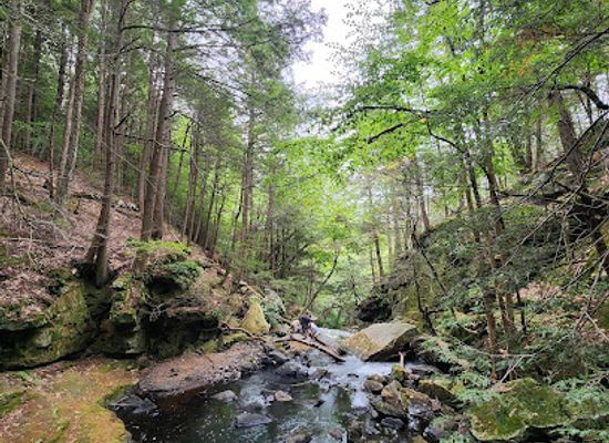 massachusetts/mohawk-trail/attraction/doane-s-falls-reservation