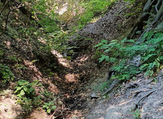 hungary/duna-ipoly-national-park/attraction/domini-forras