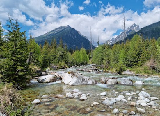 slovakia/tatranska-lomnica/attraction/studenovodsky-potok
