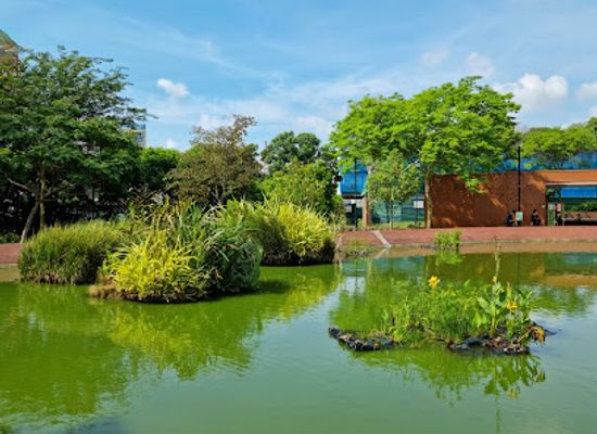 singapore/punggol/attraction/punggol-point-park