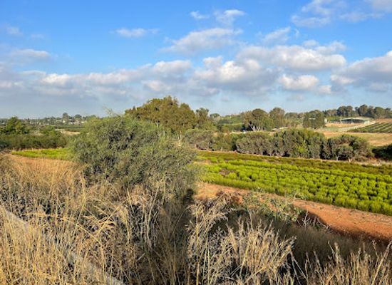 israel/ra-anana/attraction/ha-gesher-harod