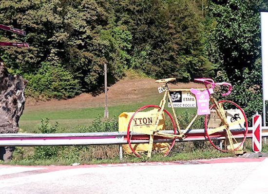 slovenia/zasavje/attraction/primoz-roglic