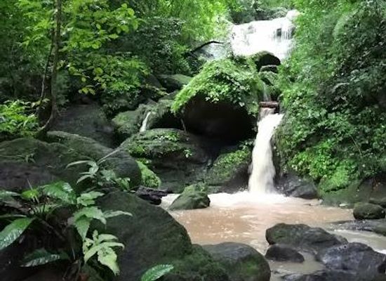 panama/colon/attraction/parque-soberania