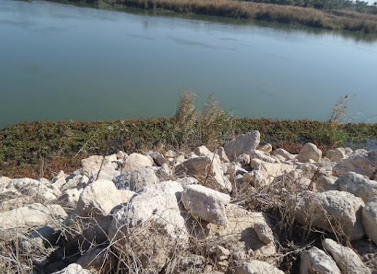 iraq/al-jazeera/attraction/tel-amer