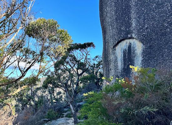 australia/wilson-s-promontory-national-park/attraction/little-drift-overlook