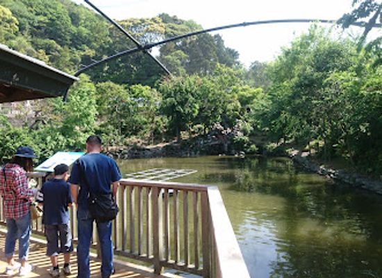 japan/izu/attraction/nihondaira-zoo