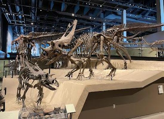 utah/salt-lake-city/attraction/natural-history-museum-of-utah