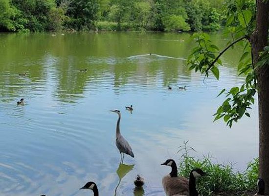 indiana/gary/attraction/washington-park