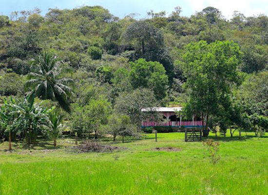 colombia/macarena-range/attraction/reserva-natural-bocas-del-losada