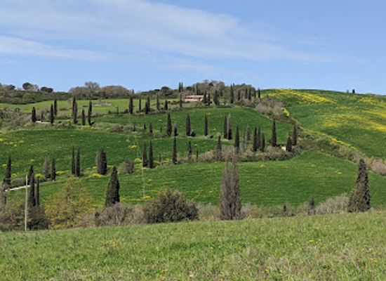 italy/val-d-orcia/attraction/cypress-road