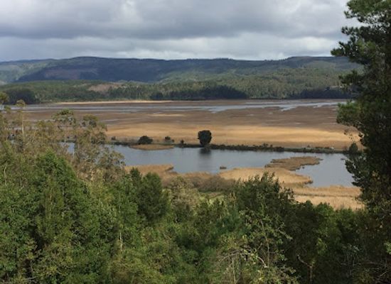 chile/los-rios-region/attraction/parque-llancahue