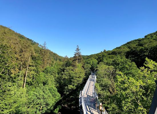 germany/harz-national-park/attraction/baumwipfelpfad-harz