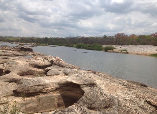 mozambique/zambezia-province/attraction/gile-national-reserve