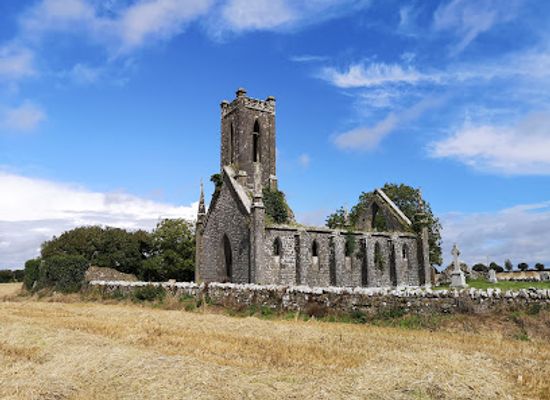 ireland/county-kildare/attraction/ballynafagh-church-ruin