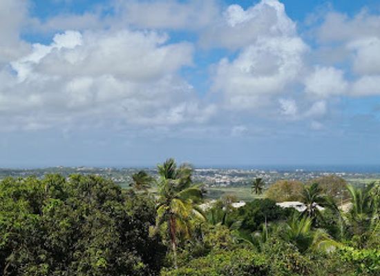 barbados/mullins/attraction/the-lion-at-gun-hill
