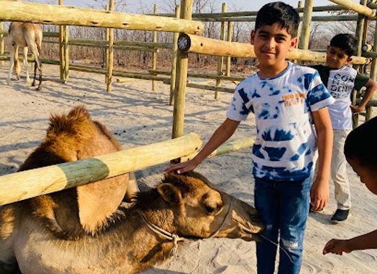 botswana/maun/attraction/okavango-camel-rides