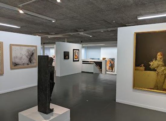 spain/barcelona/attraction/fran-daurel-museum