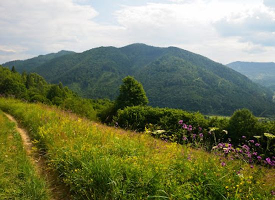 ukraine/transcarpathia/attraction/mount-zakhar-berkut