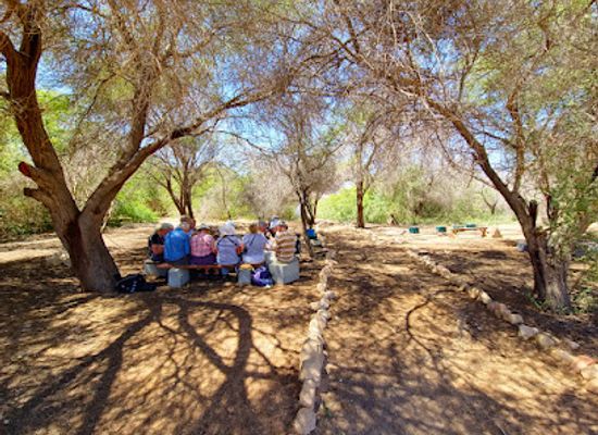 jordan/aqaba/attraction/aqaba-bird-observatory