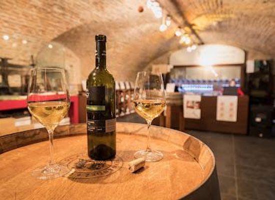 slovakia/bratislava-region/attraction/slovak-national-collection-of-wines