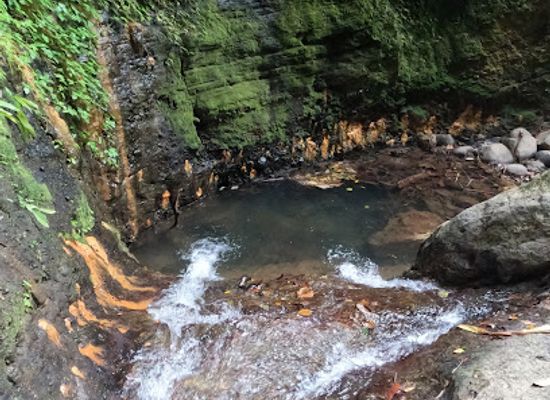 grenada/saint-david/attraction/honey-moon-water-falls