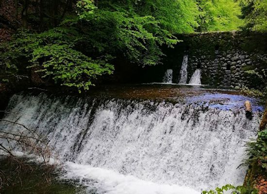 slovakia/velka-fatra-national-park/attraction/naucny-chodnik-sutovska-dolina