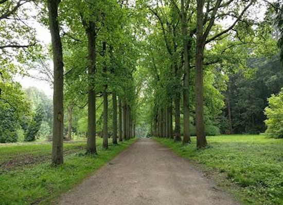 belgium/brussels-capital-region/attraction/arboretum-tervuren