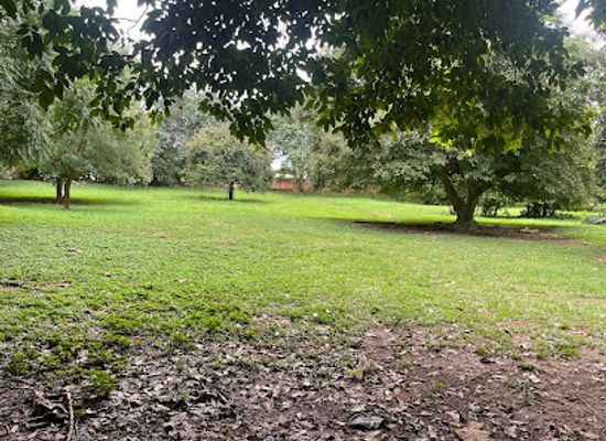 ghana/sunyani/attraction/recreational-park