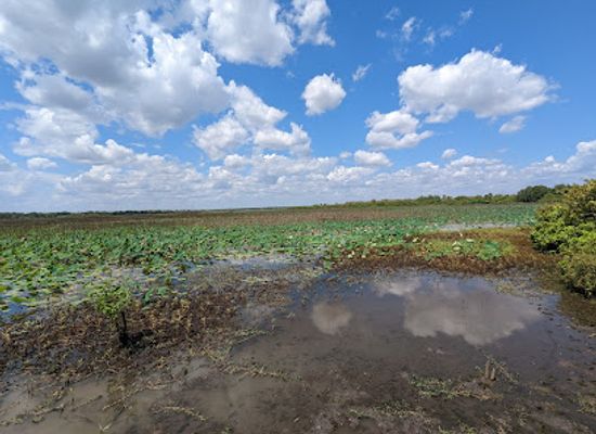 australia/kakadu-national-park/attraction/mamukala-wetlands