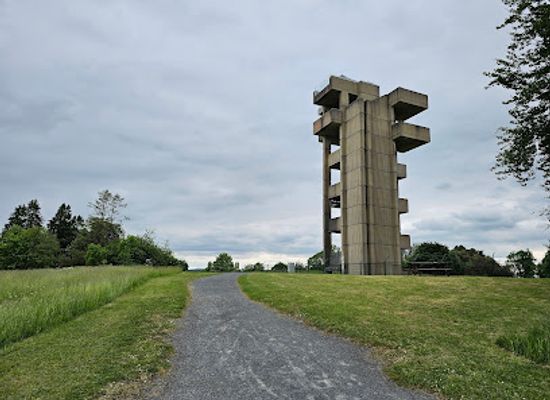 ireland/county-roscommon/attraction/moylurg-tower