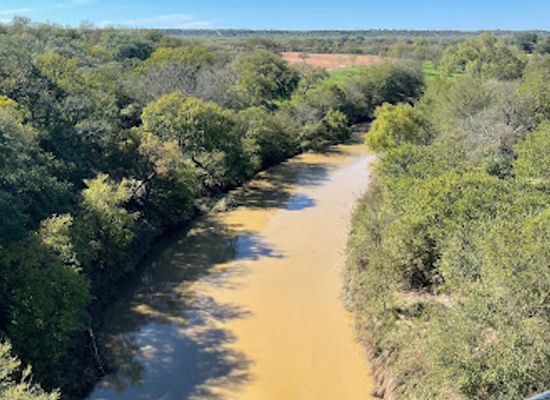 texas/east-texas/attraction/regency-bridge