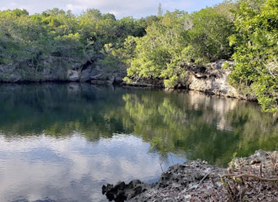 the-bahamas/eleuthera/attraction/cathedral-cave