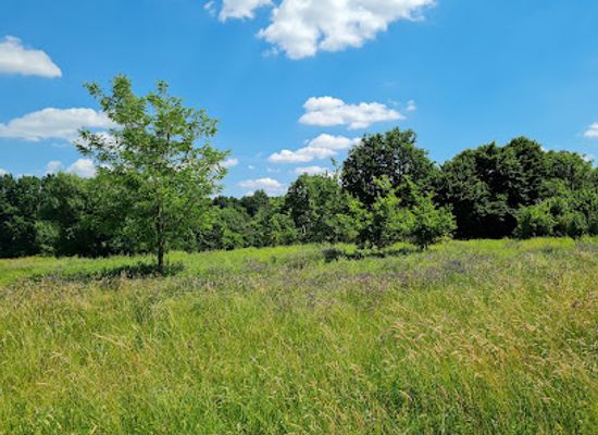 hungary/zala-hills/attraction/tunderkert