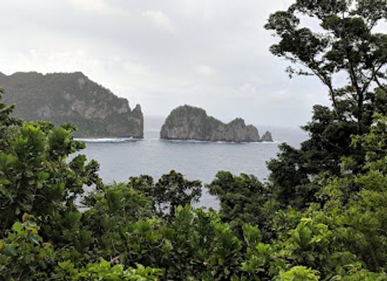 american-samoa/fagatogo/attraction/pago-pago-harbour