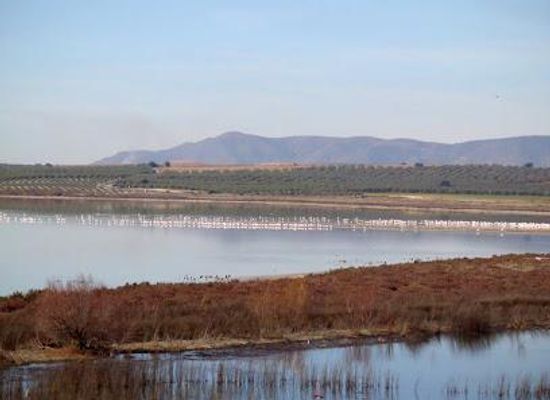 spain/andalusia/attraction/fuente-de-piedra-lagoon