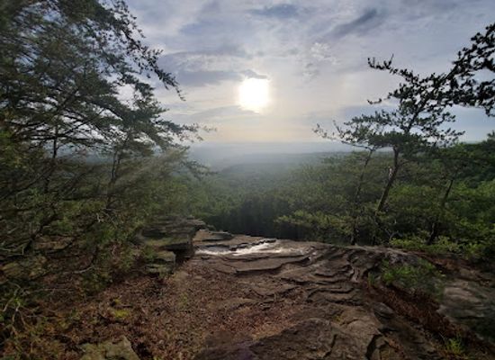 tennessee/cumberland-plateau/attraction/cumberland-plateau-scenic-overlook