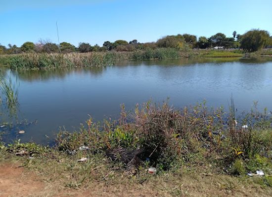 south-africa/polokwane/attraction/flora-park-dam