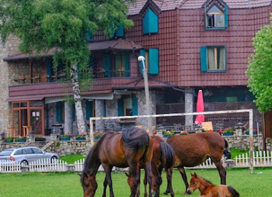 albania/razma-region/attraction/natyral-razma-resort