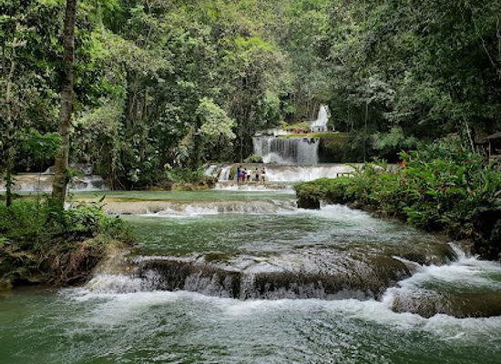 jamaica/negril-area/attraction/ys-falls