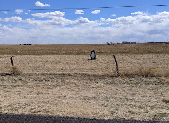 texas/amarillo/attraction/pippy-the-penguin