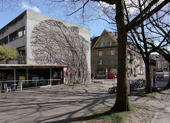 switzerland/bern/langgasse-felsenau/attraction/street-art